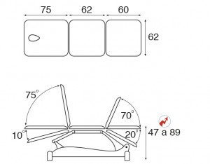 C3557 (1)